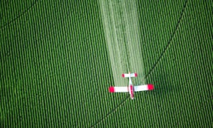 An overhead view of a crop duster spraying green farmland.