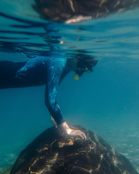 A snorkeler seen from beneath the water holding onto a rock