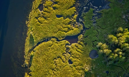 Aerial view of watercourses snaking through green countryside