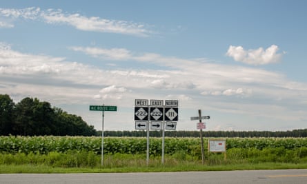 Tobacco grows on state highway 222/111 outside Dudley, North Carolina.