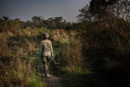 Rear view of a woman walking in the forest