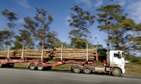 Logs are transported by a truck in Launceston
