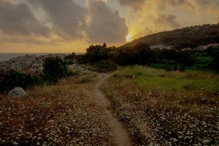 A worn path through wildflowers on a headland