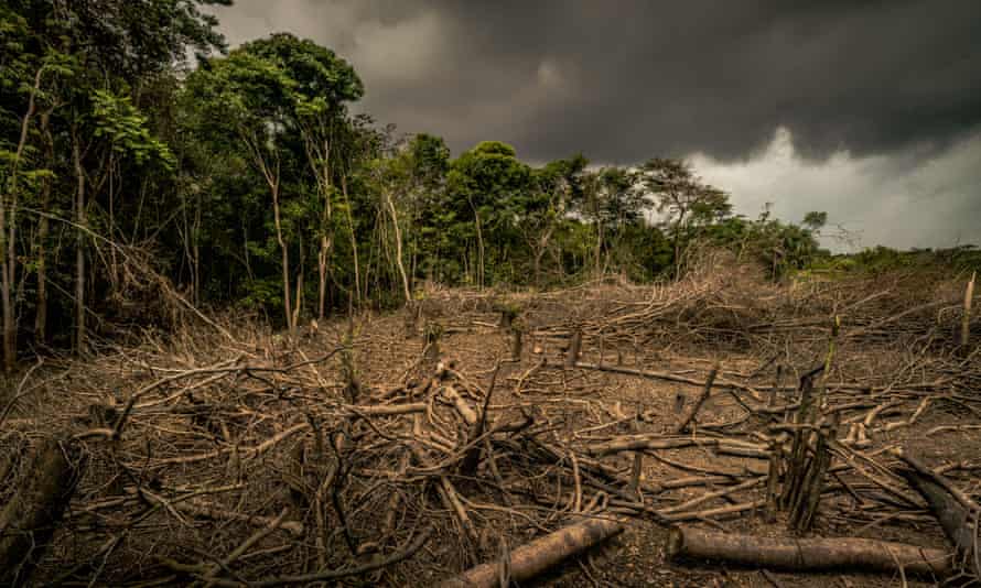 Deforestation in the Colombian Amazon