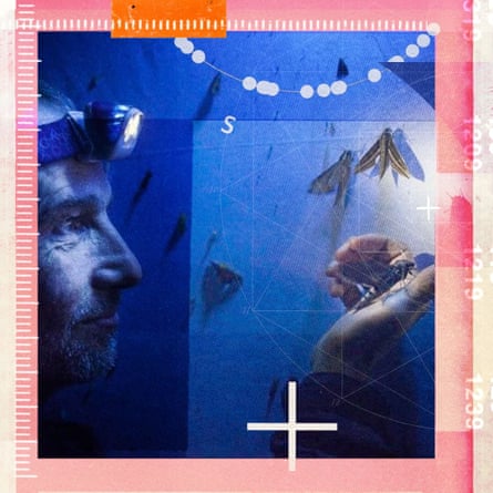 Dr Jason Chapman in the light trap, with a variety of moths and insects visible in the light of his headlamp