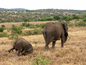 Faceplant, Namibia