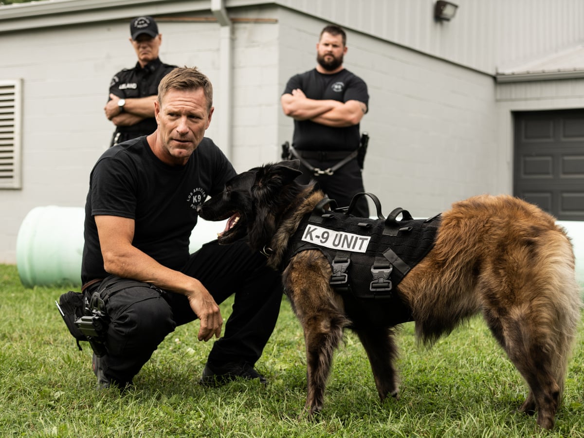 Muzzle review – Aaron Eckhart out-acted by German shepherd in cop-mutt thriller | Movies | The Guardian