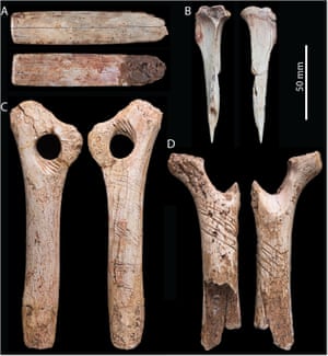 The researchers suggest the engravings may have been part of an elaborate post-death ritual carried that culminated in the deceased being eaten.