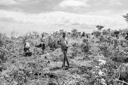 people work in a field