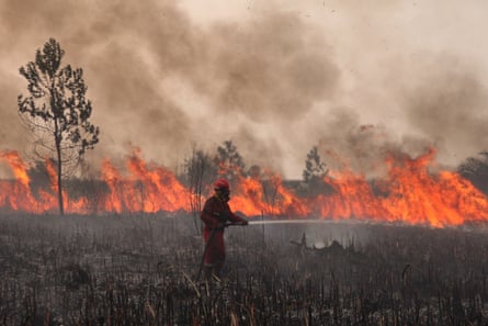 An Indonesian firefighter works to extinguish wildfires in South Sumatra, Indonesia.