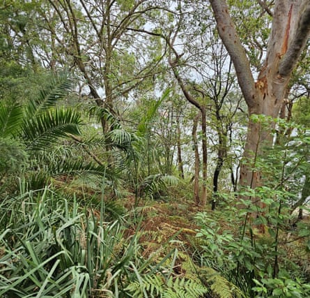 The foreshore of Woodford Bay.