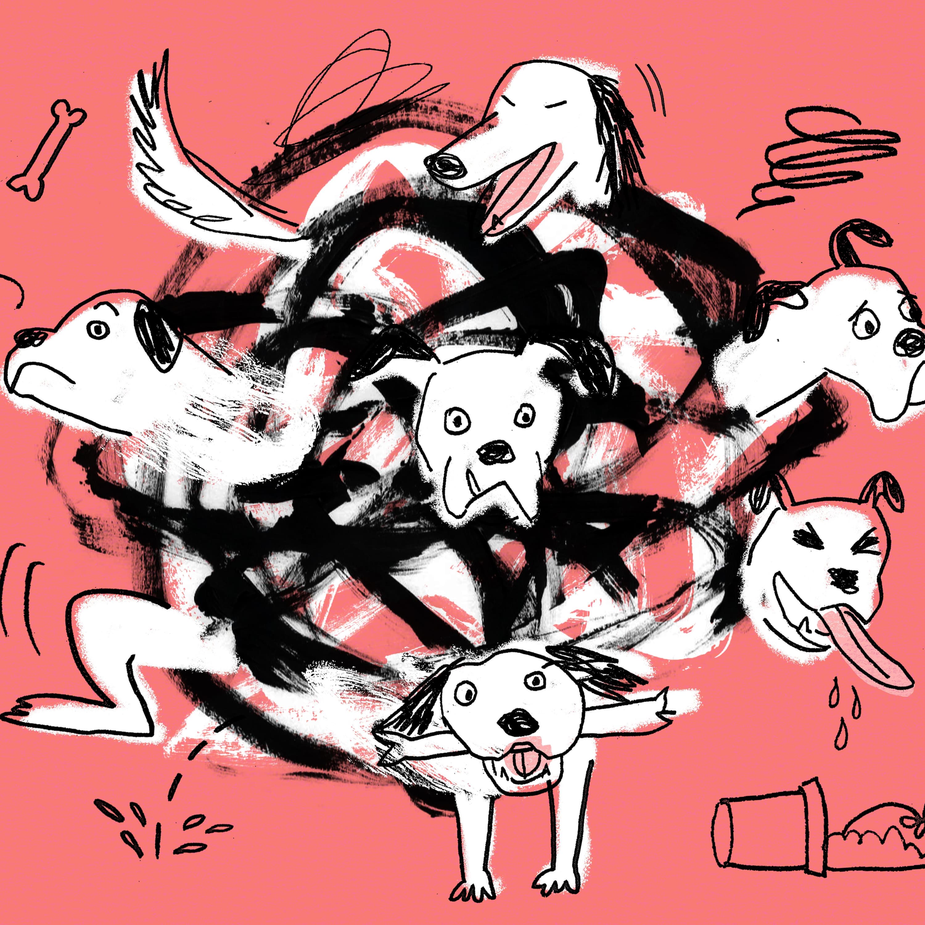 What training my chaotic dog taught me about power, control – and human beings