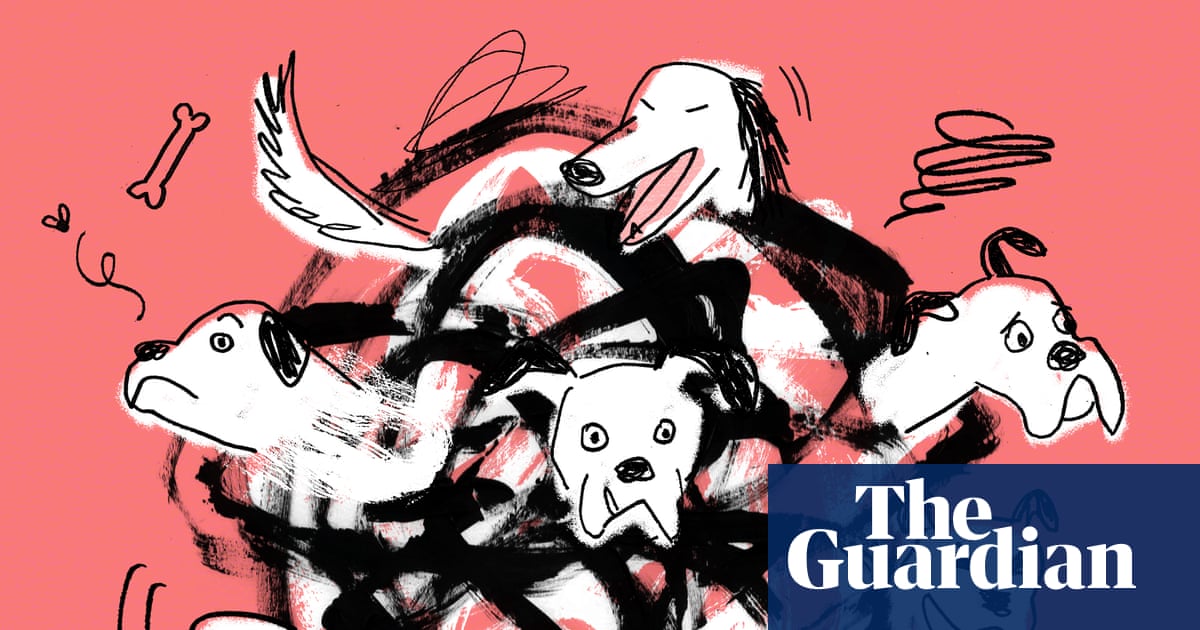 What training my chaotic dog taught me about power, control – and human beings – podcast