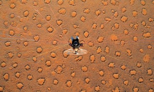 The “fairy circles” of the Namib desert as seen from above.