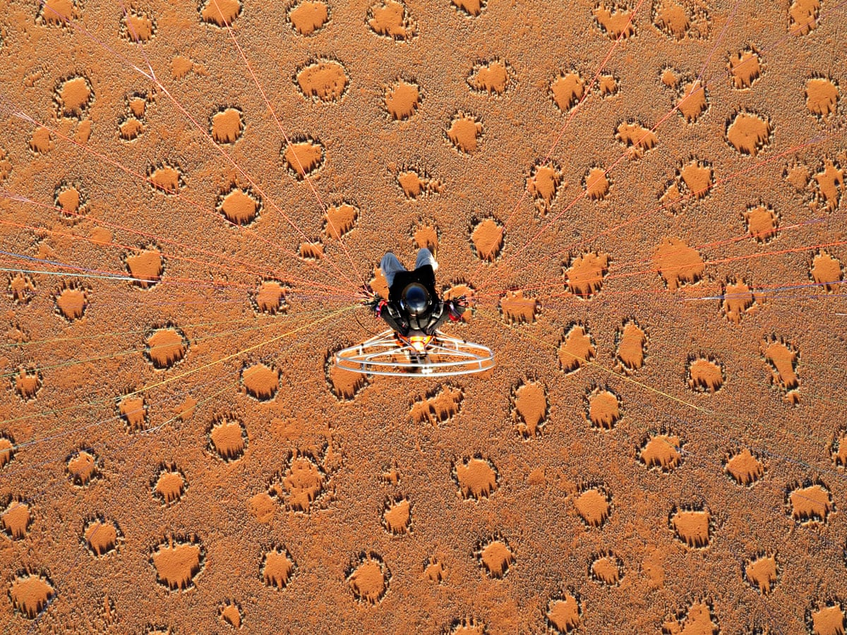 The secret of Namibia's 'fairy circles' may be explained at last