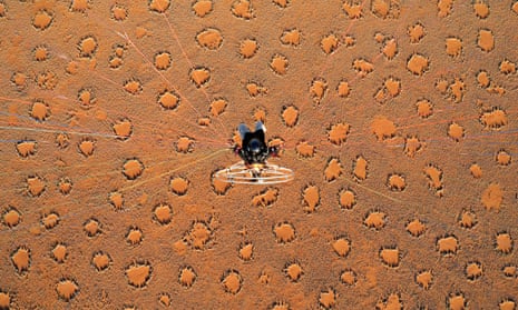 The “fairy circles” of the Namib desert as seen from above. 