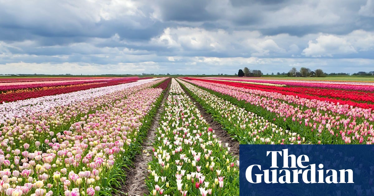 I cycled through flower fields stretching as far as the eye can see': readers' favourite European spring breaks