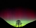 Sycamore Gap: why would anyone cut down a tree that brought joy to so many?