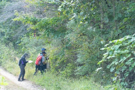 People survey extensive shrubbery