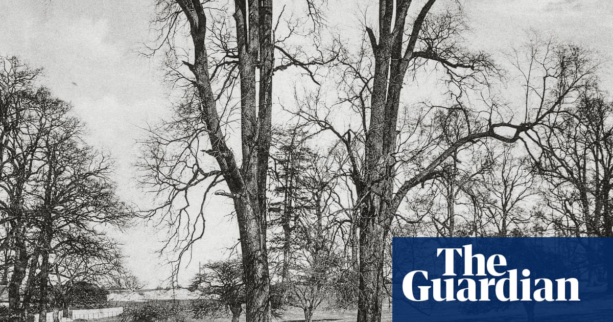 Back to their roots: a brief history of trees – in pictures