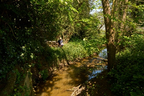 Um homem agachado na margem de um rio que corre por uma área arborizada.