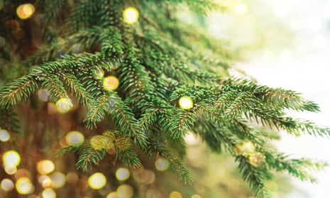 Closeup of Christmas tree with lights