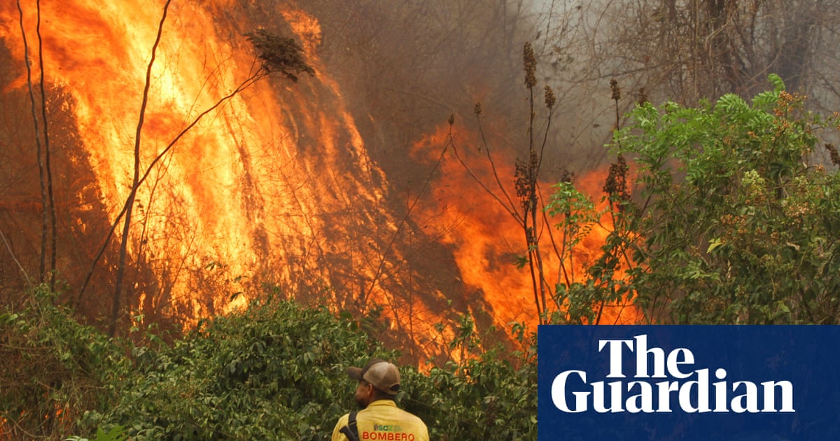 Global red alert': forest loss hits record high and Latin America is the heart of the inferno