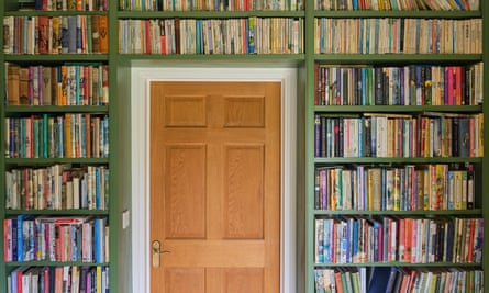 Shelves around and above door