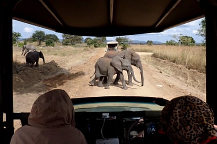 An adult elephant and young elephant cross the road in front of an open-top safari truck