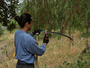 A person sharpens a scythe in a park