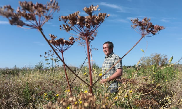 James Baird on his farm near Littlehampton, Sussex.