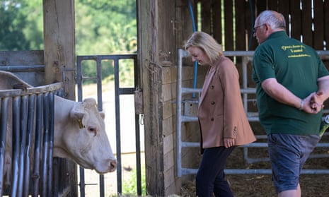 Liz Truss visits a Devon farm.