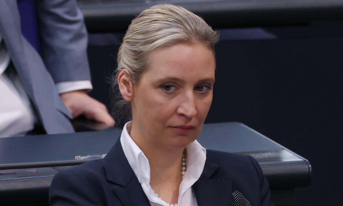 AfD leader 'wolf in sheep's clothing', says German Social Democrats head | Germany | The Guardian