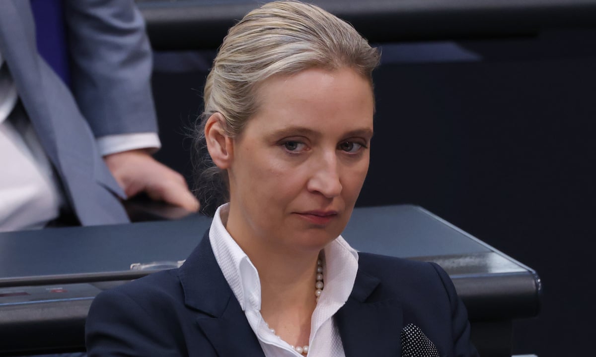 Far-right AfD leader vows to campaign for Brexit-style EU exit vote in Germany | Alternative für Deutschland (AfD) | The Guardian