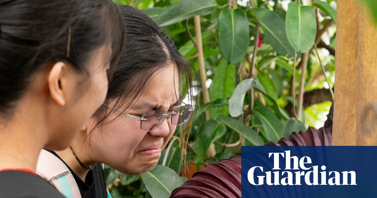 Readers reply: The Missouri tofu spill was ‘unforgettable’ – but what are history’s greatest bad smells?