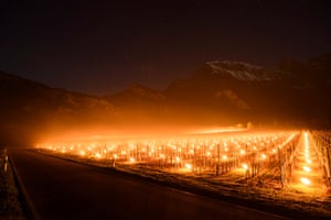Grisons, Switzerland: Anti-frost candles burn in a vineyard