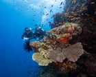 Be an ambassador for the ocean – why the Great Barrier Reef’s future depends on responsible tourists