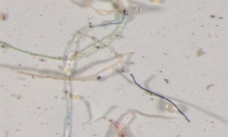 It's raining plastic: microscopic fibers fall from the sky in Rocky Mountains | Plastics | The Guardian