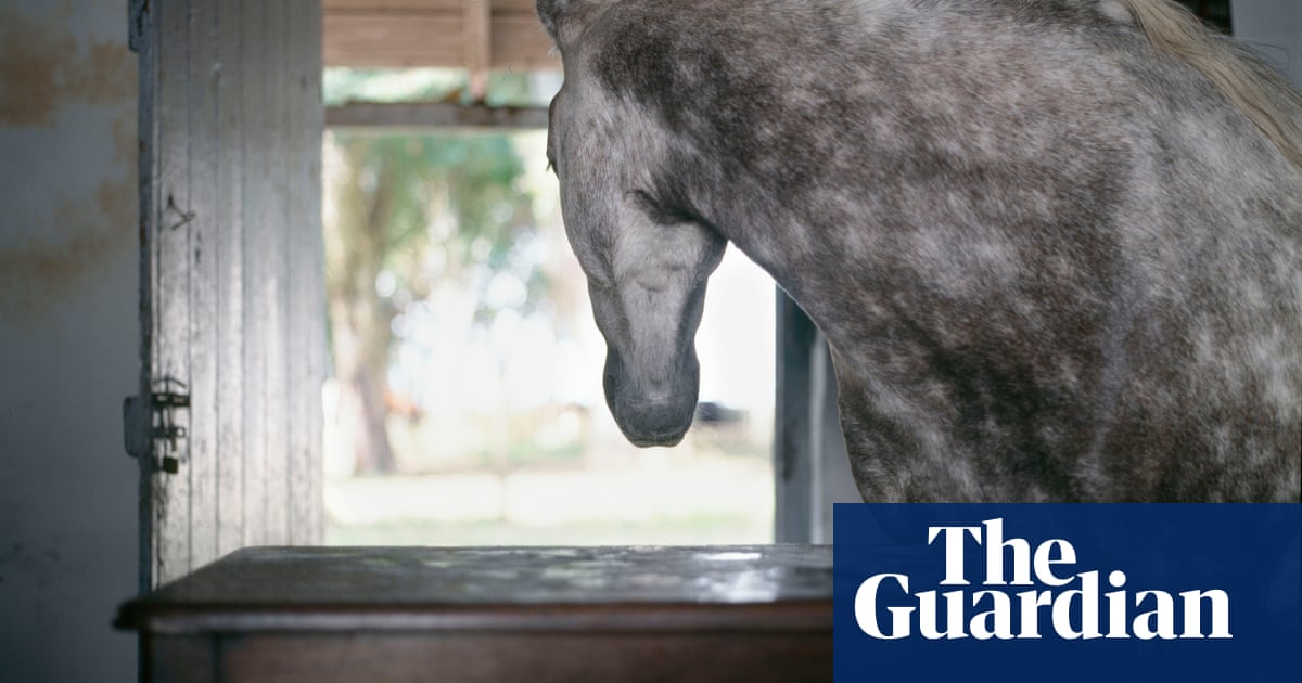 from the horse's mouth to the door to hell magnum's images