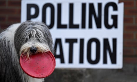 A dog holds a frisbee by a polling station