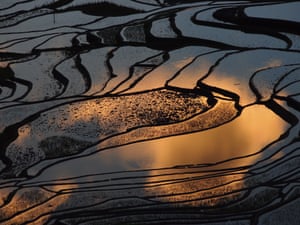 Sunrise reflections at Yuanyang rice terracesThe water-filled rice terraces of Pugaolao village, in Yunnan, China,