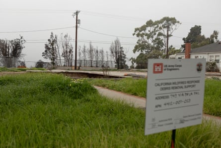 A plot of green grass.