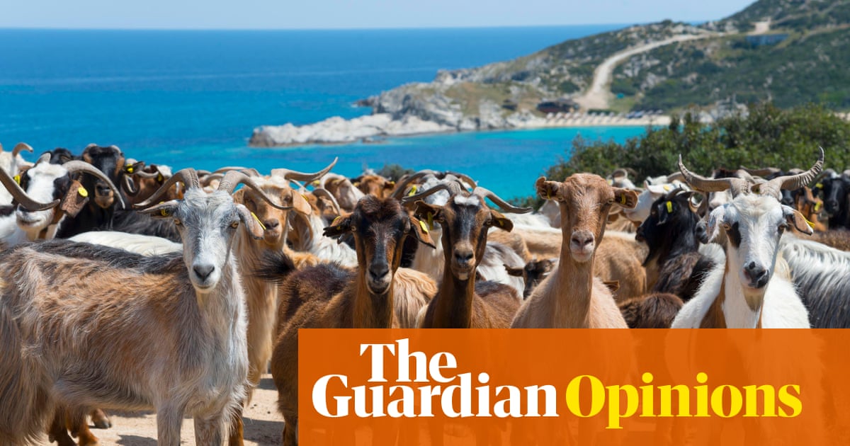 It's the big fat Greek farming scandal devised by the political elite and paid for by ordinary people | Alexander Clapp