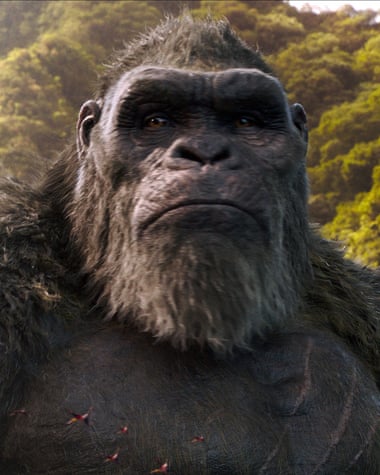 Exactly what it says on the tin: the titular Kong in Godzilla vs. Kong