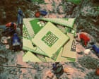 A disease of deforestation: how Ebola is linked to the smartphone in your pocket