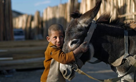 Afghan boy cuddling a donkey