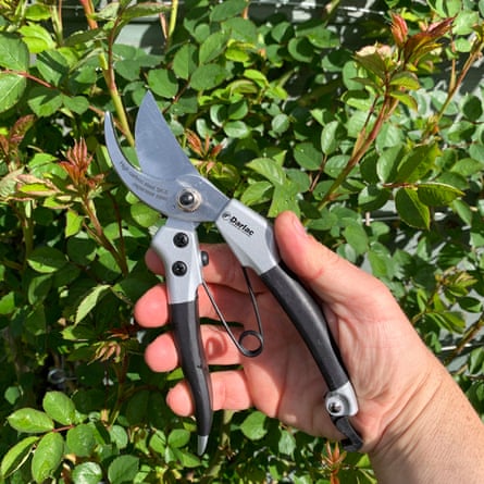 Darlac Compact Plus Pruner