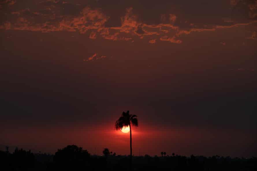 The sun sets in Phoenix, Arizona, behind a lone palm tree. The clouds and waning light create a dark red foreboding canvas in the sky.