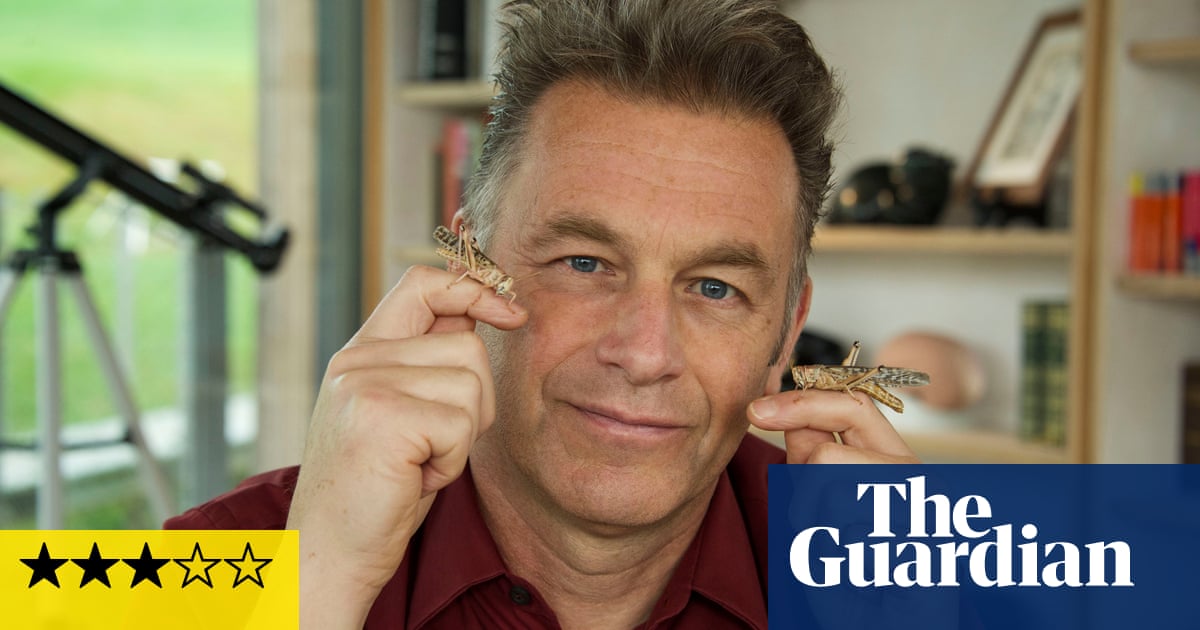 Chris Packham's Animal Einsteins review – a balm for frayed minds