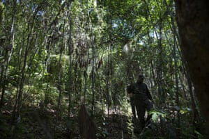 Environmental guards search for monkeys in Casimiro de Abreu, Brazil